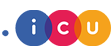 .icu